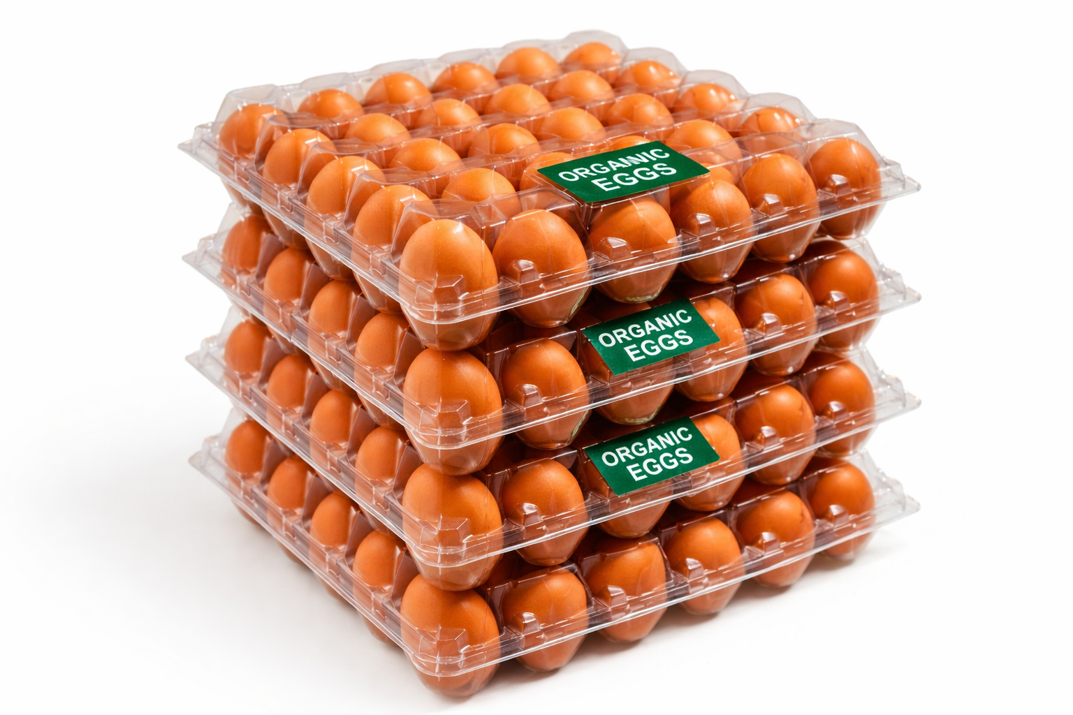 Lohman Brown 4 Trays Monthly – Subscription